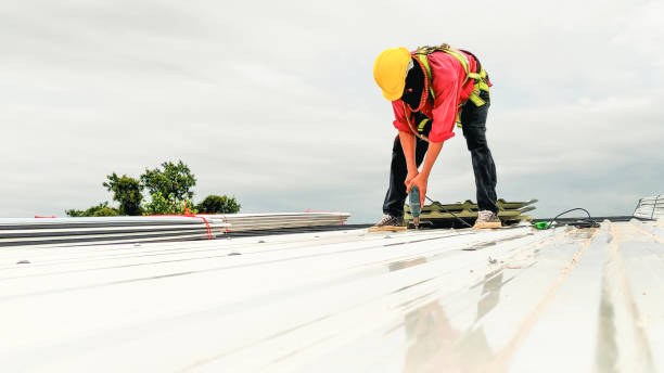 Best Roof Insulation Installation  in Cedarville, OH